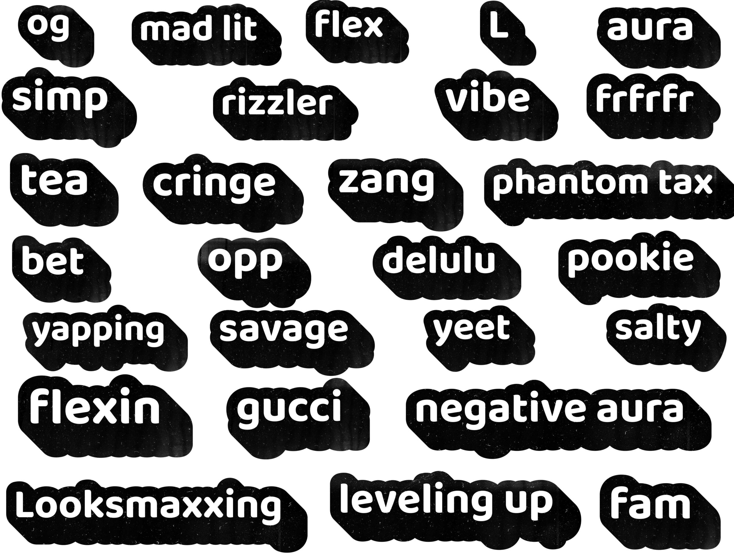 Rizz Delulu