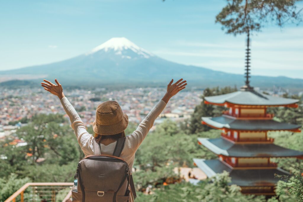 travel patterns - Japan